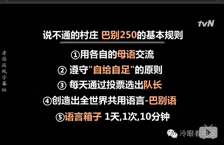 实验性艺术是什么,真人秀到底有多假