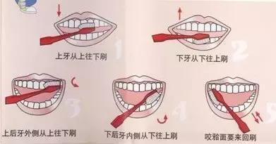 关于牙齿你需要知道的三件事,关于美白那些你不得不知道的事儿