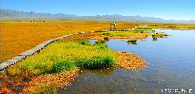 阿坝州川西北大草原,川西北若尔盖地区