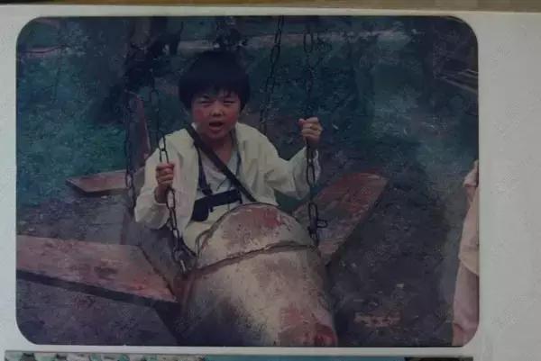 林丹两球惜败李宗伟，无缘金牌，坚持到现在实属不易！