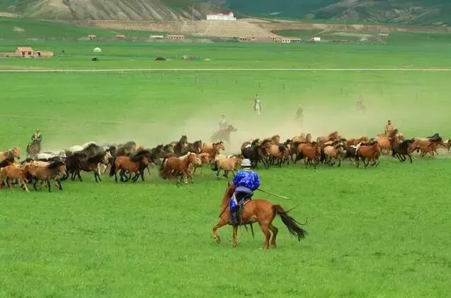 国内旅游值得去的地方,国内最值得去40个景点