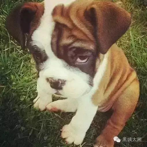 isofix通过什么认证,isofix是必须要具备吗