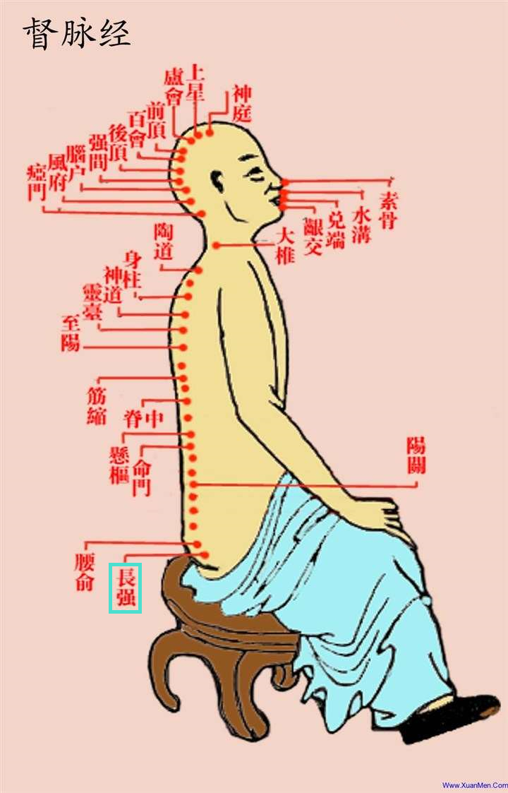 字里藏医怎样,字里藏医解读