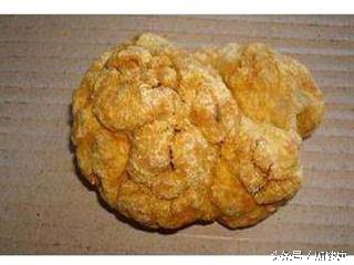 普及孕妇营养知识方法,加强饮食与健康知识普及