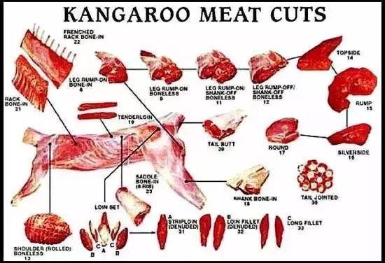 出差要关注的东西,国外黑暗料理