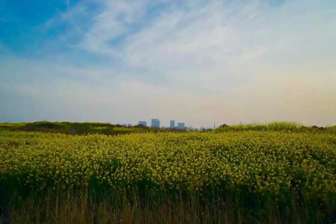 微博为什么会存在被盗风险,微博怎么被盗的