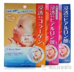 学习菌类知识,学习菌