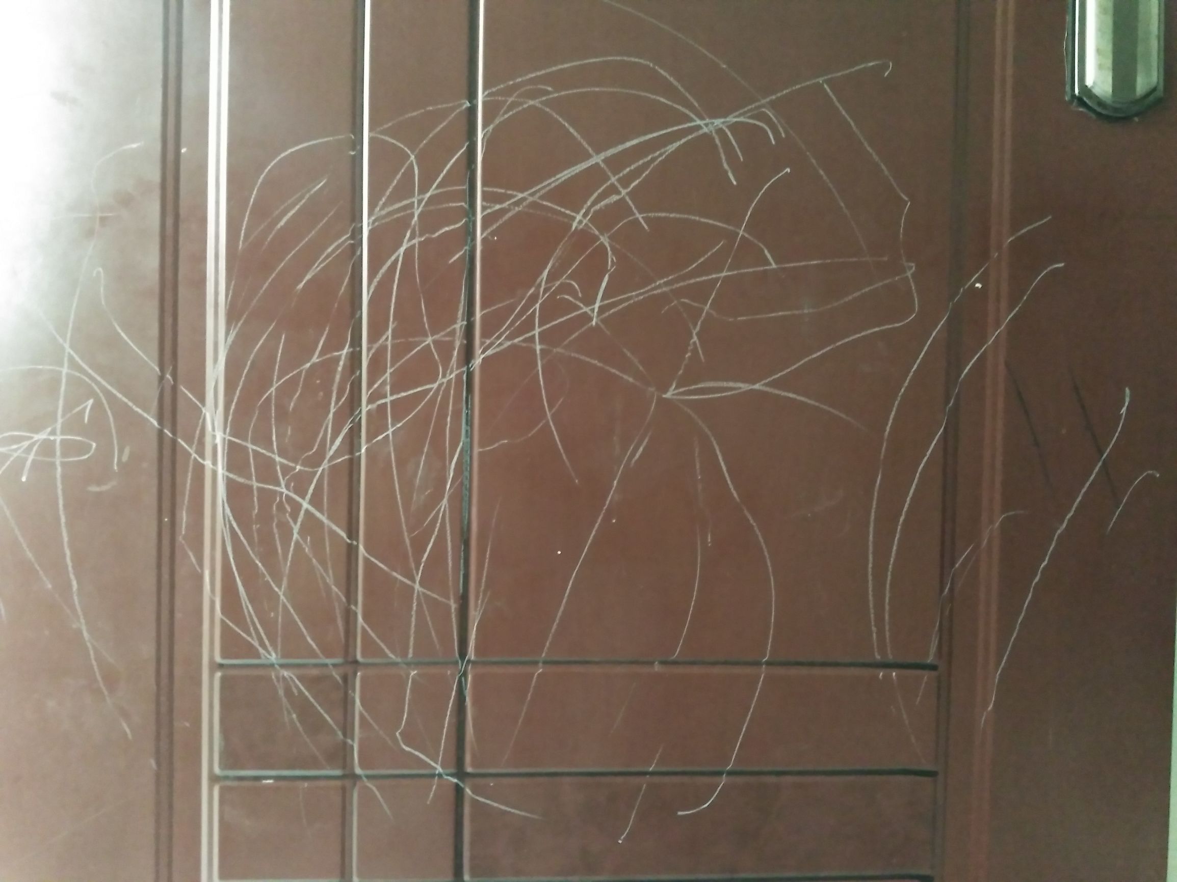 十个半月宝宝第一幅绘画作品,儿童从易到难的绘画作品