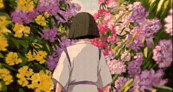 柳州哪个公园有足球场,柳州新建紫荆花公园