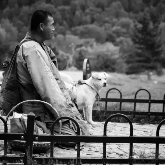 去五台山碰到僧人给一颗菩提,五台山僧人送我佛珠代表什么