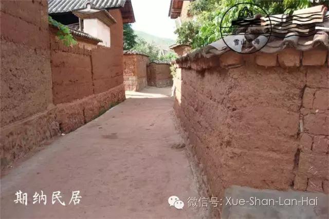 驴胶知识全在这儿了