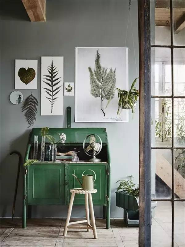 植物标本怎么装饰墙面 (植物标本室内装修挂件)