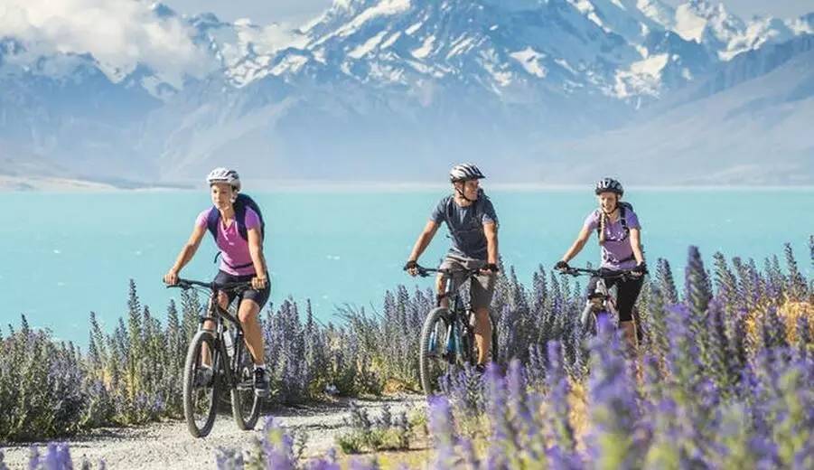 老中医蜂蜜系列,老中医秘制蜂蜜