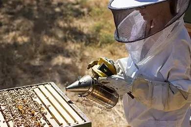 老中医蜂蜜系列,老中医秘制蜂蜜