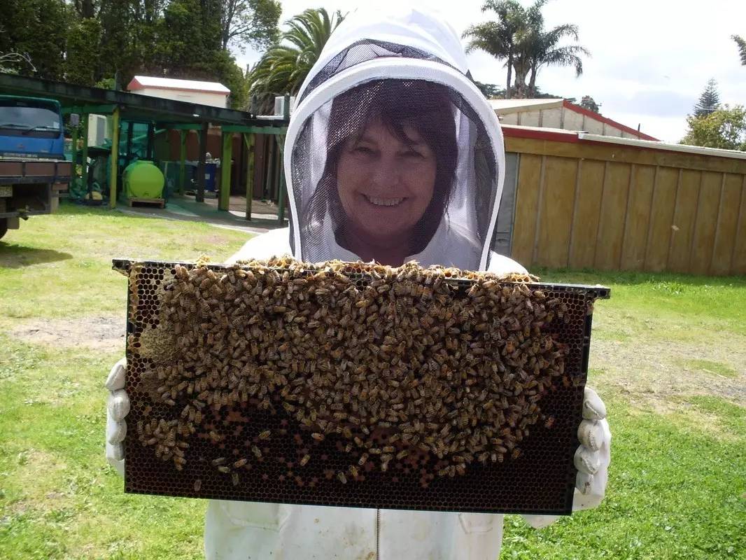 老中医蜂蜜系列,老中医秘制蜂蜜