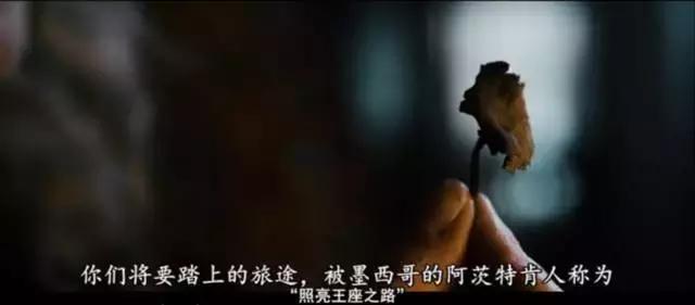 我丝毫不怀疑，这位导演曾来过云南尝过“毒蘑菇”