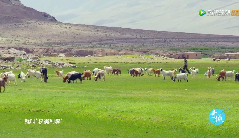 奇域探秘新丝路纪录片哪里可看,奇域探秘新丝路