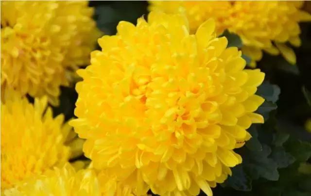 睡香枕有什么好处,睡觉睡得很香是好事吗