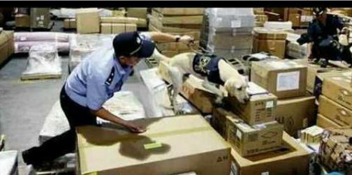 代购坑多水深看完这些骇人的内幕真是惊掉我的下巴