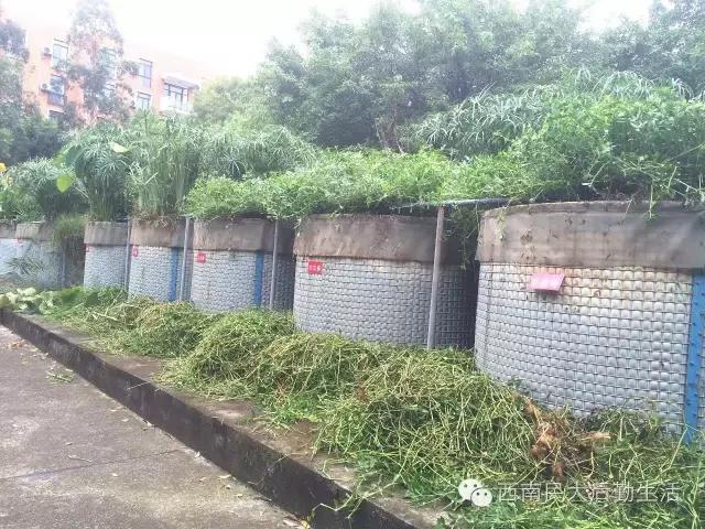 西南民族大学航空港校区官网,西南民族大学西航港校区