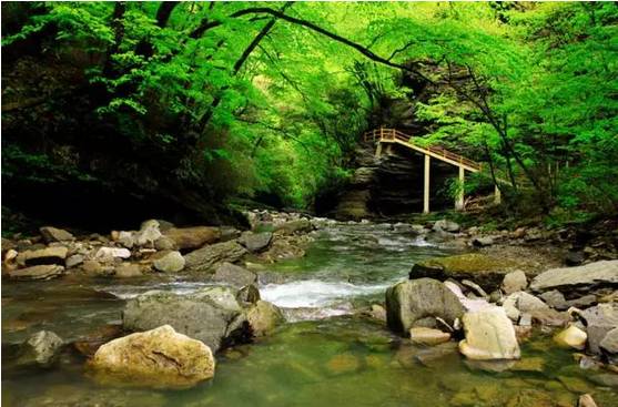 秋老虎时节到哪避暑最好,秋老虎来了要关注什么