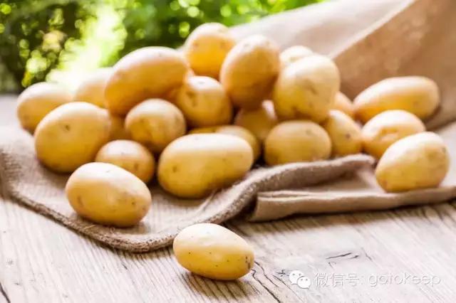 冬天肚子饿得快,冬天饿得快吃啥