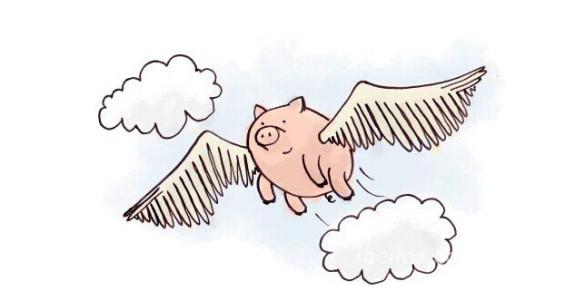 橙石科技发布新款小哇手机-WA1l，红海已现，未来在哪？