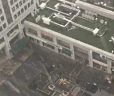 武汉一夜之间白了头，这回终于有得玩了！