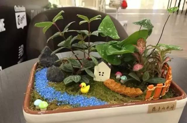 武汉一夜之间白了头，这回终于有得玩了！