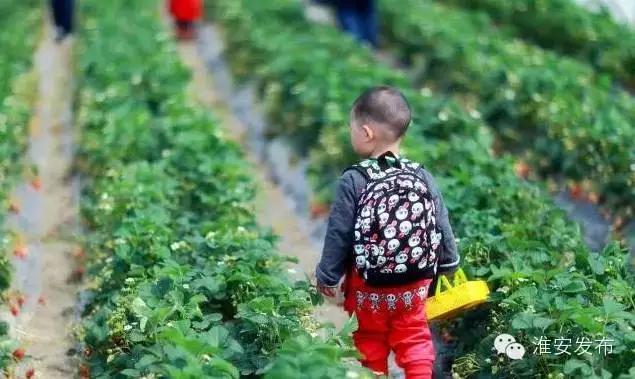 年味丰富的地方,淮安过年都吃些什么