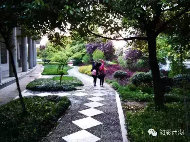 安徽合肥小幸运,小幸运大学生翻唱