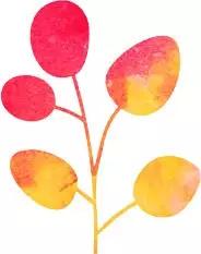 紫光手电筒能检测出卫生巾荧光剂超标?