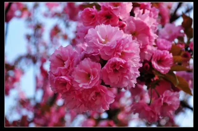 西安交通大学：交大耀长安