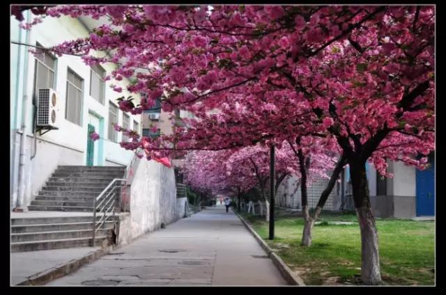 西安交通大学：交大耀长安