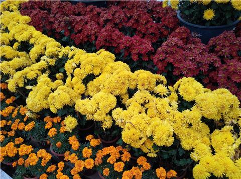 360极客版下载,360极客版所有版本