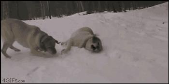 比下雪更好玩的，是到黑龙江体验别克冰雪试驾