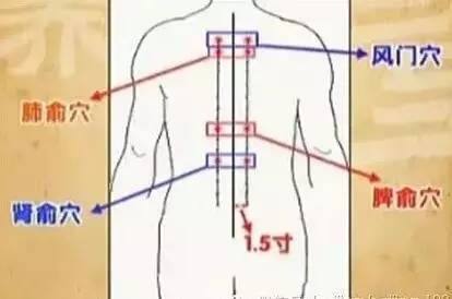 今天处暑,今天处暑节气