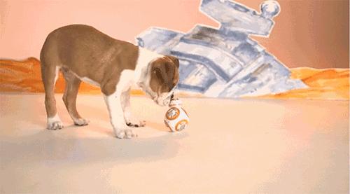 bb8遥控机器人,乐高bb8机器人