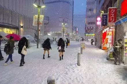 冻成狗怎么取暖,冻成狗怎么降温