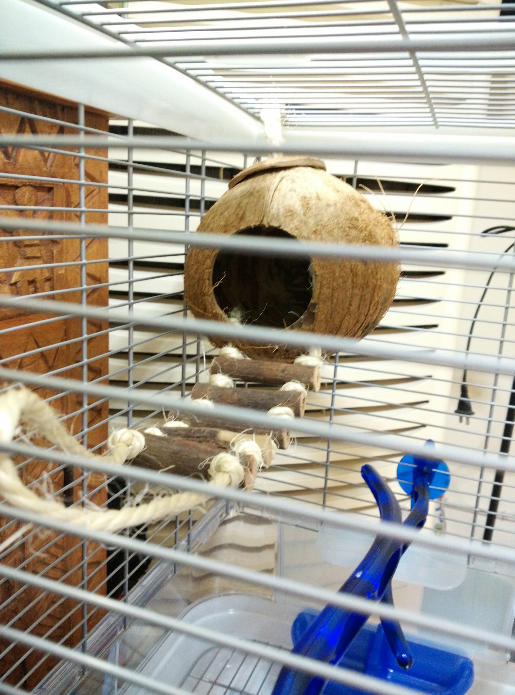 哈根笼子设计,鹦鹉笼设计图