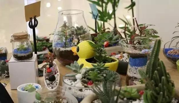 武汉一夜之间白了头，这回终于有得玩了！