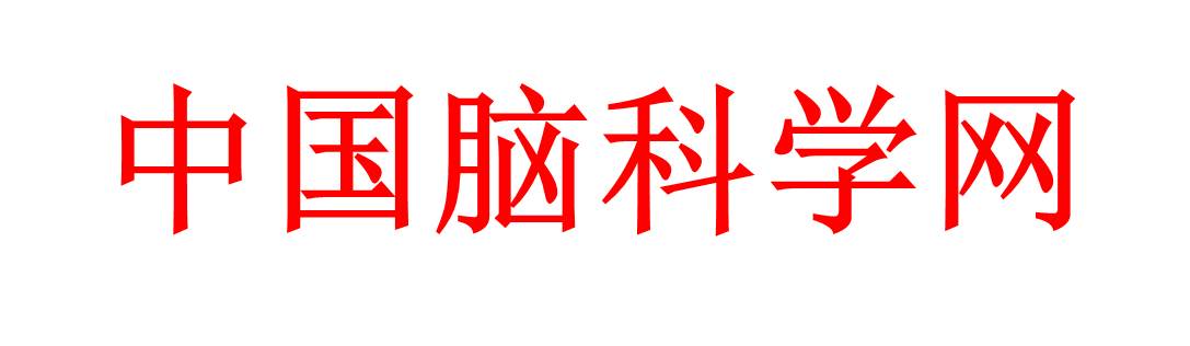 为什么我们没有一个很好的“中国脑科学网”？