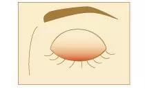 自然妆的眼影正确化妆方法,眼妆教程日常化妆没有多少睫毛