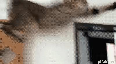 搞笑精选：女友夹不住A4纸，怪我咯