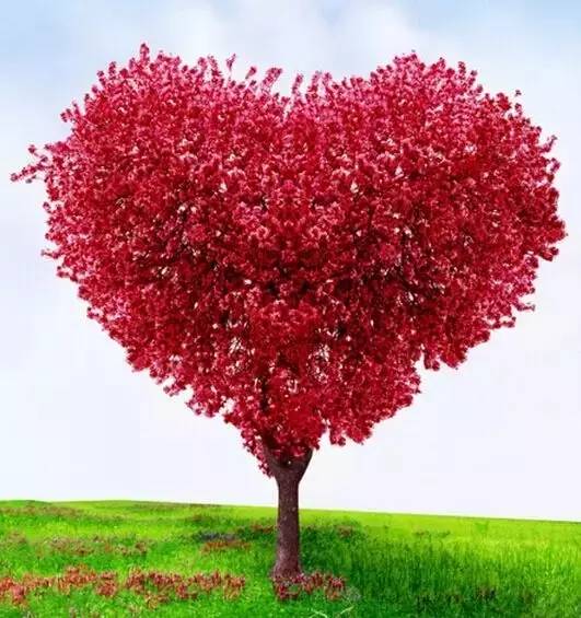 2022年桃花运爆发的四个星座,2018年桃花运最好的几大生肖