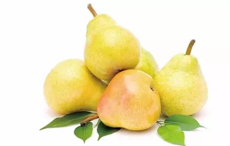 今天处暑,今天处暑节气