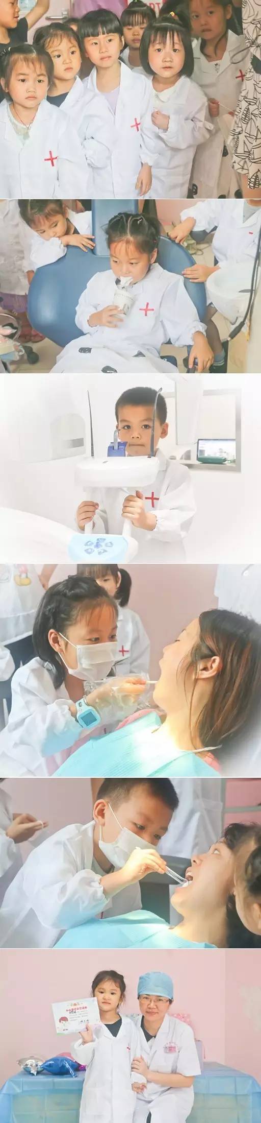 摄影大赛感动典藏,摄影大赛如沐春风