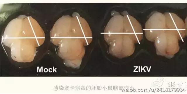 不知道什么时候开始，中国牛逼得要死，鬼知道发生了什么....