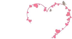 七大美女齐聚信阳！看看她们都是谁?