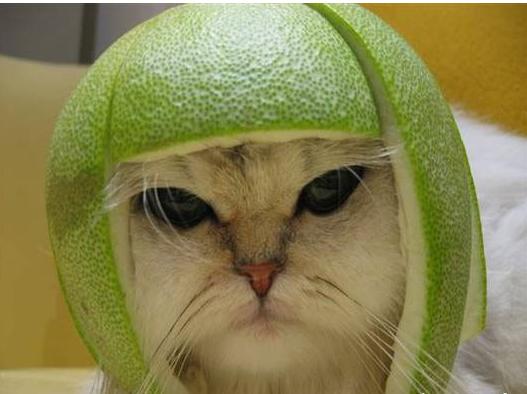 有哪些让你惊艳至今的歌词,那些押韵到无法忘怀的歌词